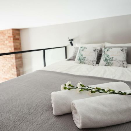 Loft Apartment Cracow Old Town 3Min Main Sq كراكوفيا المظهر الخارجي الصورة