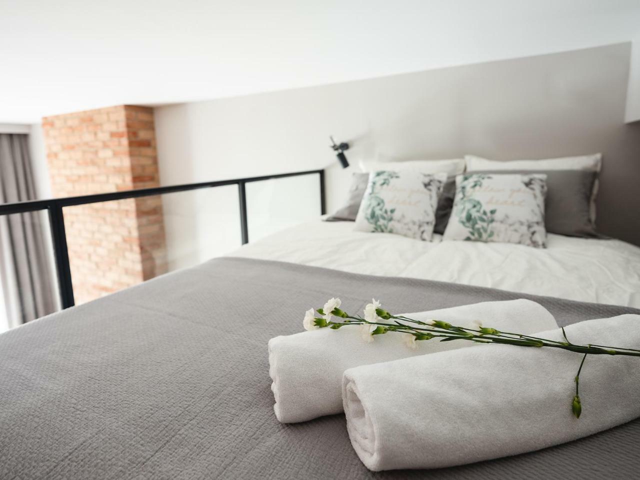 Loft Apartment Cracow Old Town 3Min Main Sq كراكوفيا المظهر الخارجي الصورة
